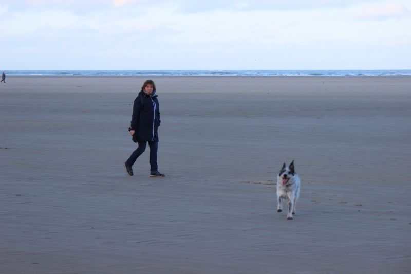 Am Strand von Texel