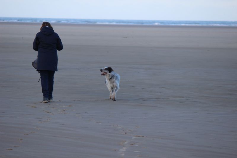 Am Strand von Texel
