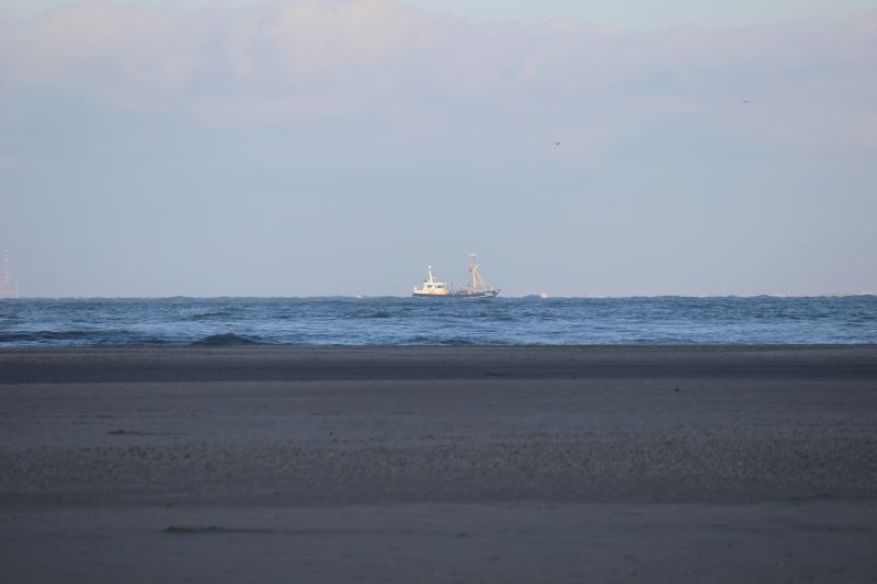 Am Strand von Texel