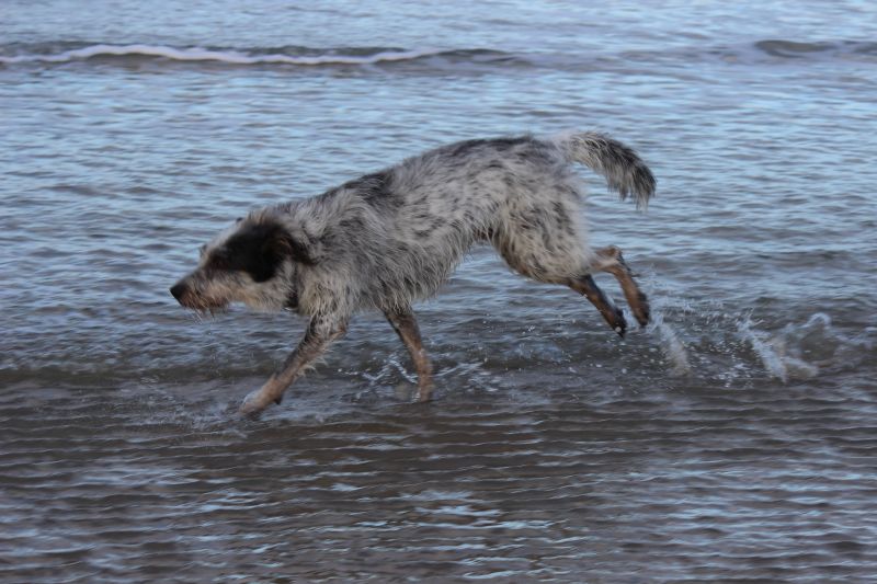 Am Strand von Texel