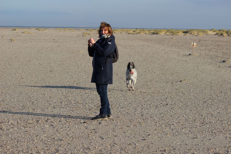 Am Strand von Texel