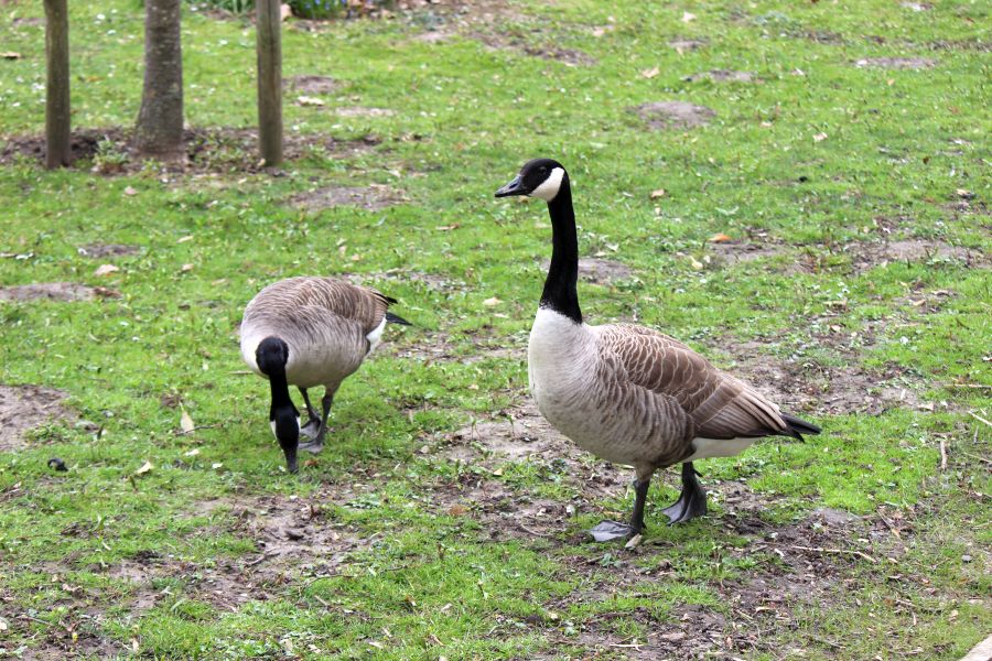 Rombergpark am 28.03.2019
