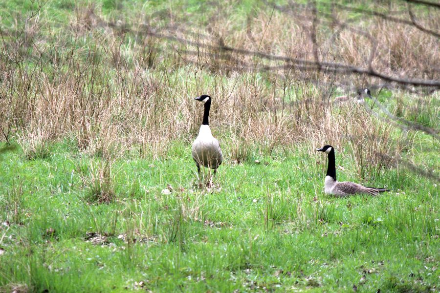 Rombergpark am 28.03.2019