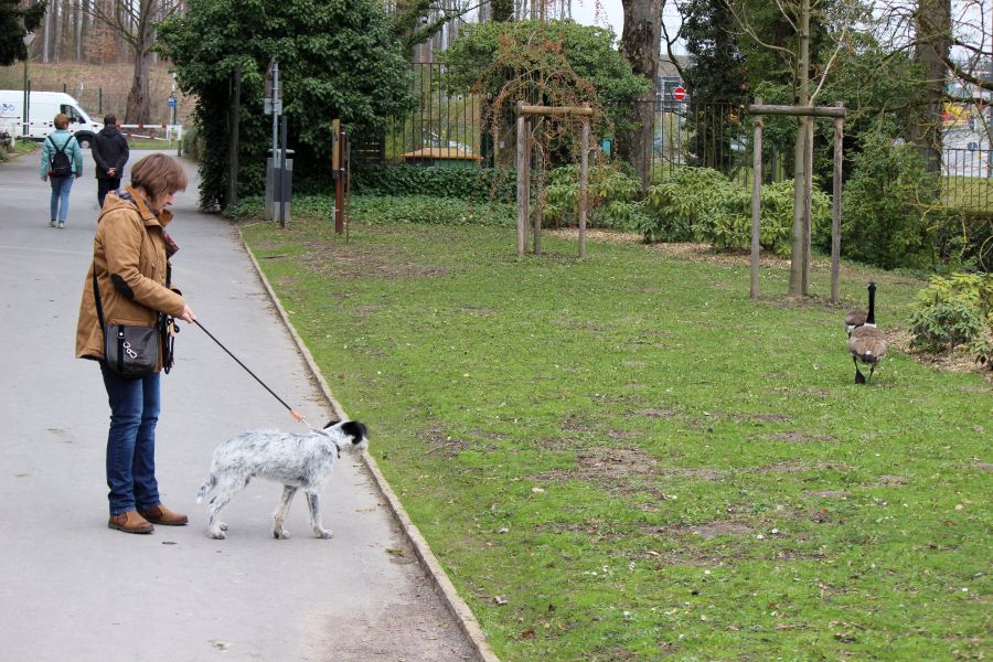 Rombergpark am 28.03.2019