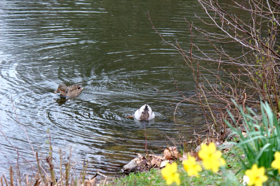 Rombergpark am 28.03.2019