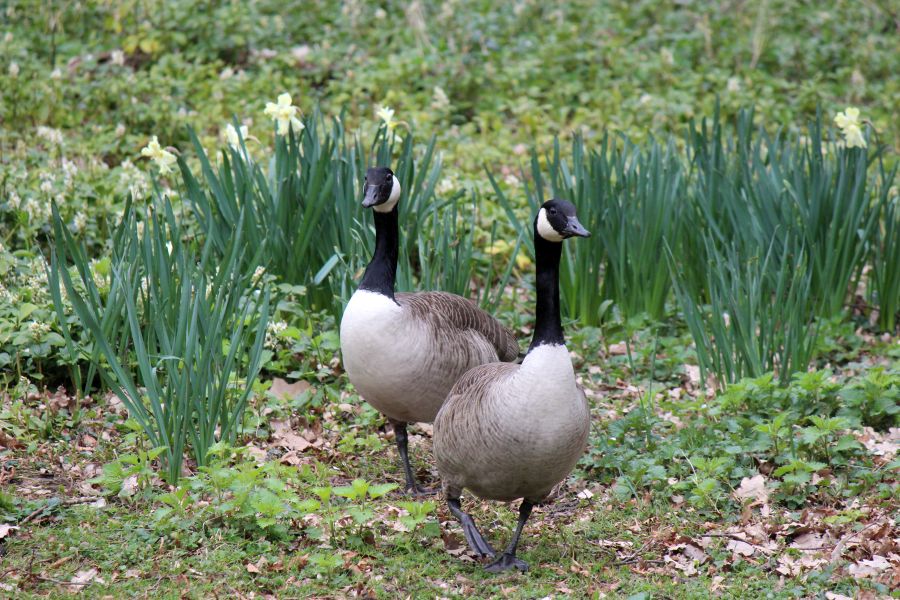 Rombergpark am 28.03.2019