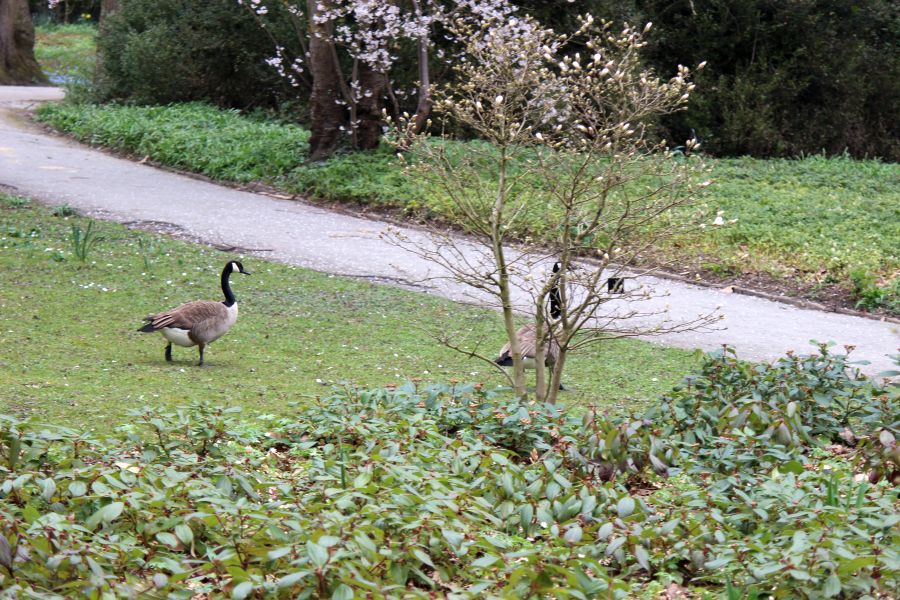 Rombergpark am 28.03.2019