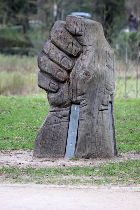 Rombergpark am 28.03.2019