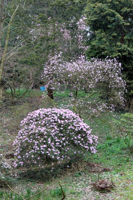 Rombergpark am 28.03.2019