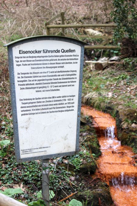 Rombergpark am 28.03.2019