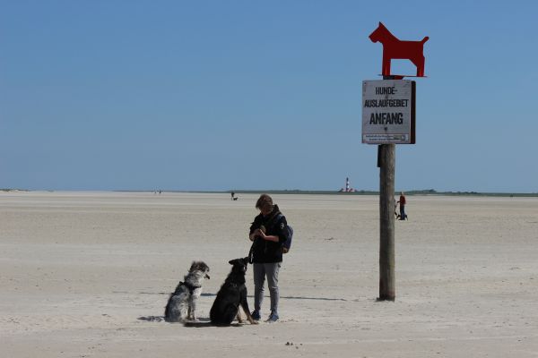 HundestrandSPO130524
