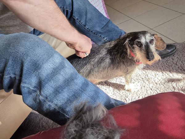 Besuch von Frieda