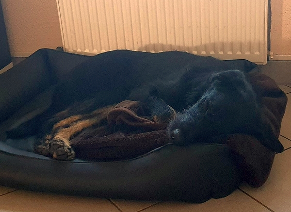 Hannes und Lula