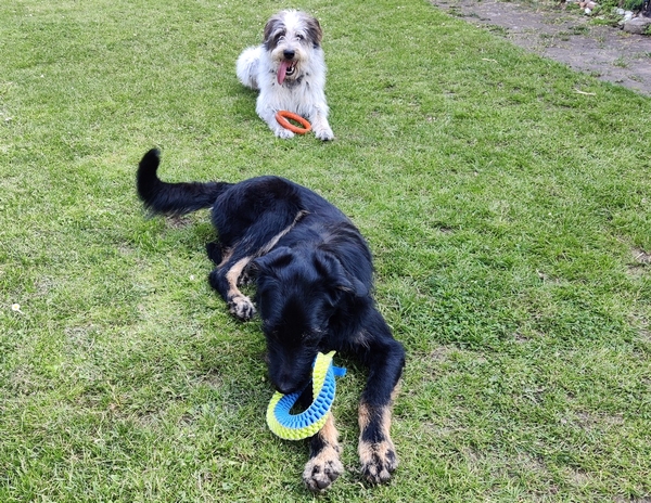 Hannes und Lula