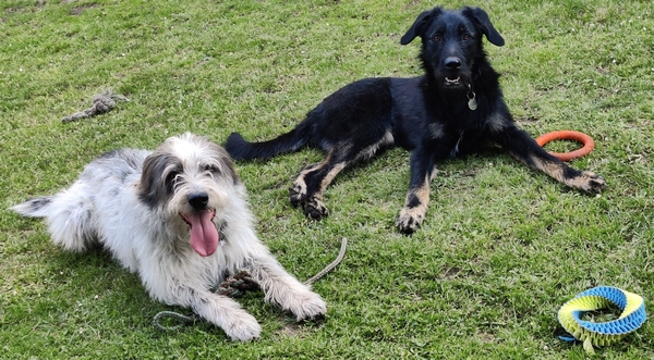 Hannes und Lula