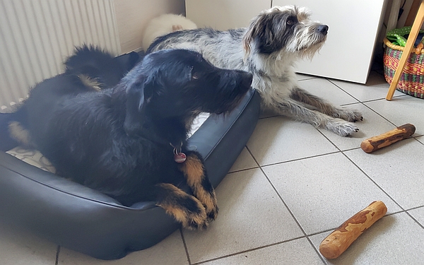 Hannes und Lula