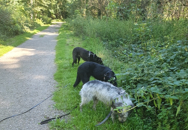 Hannes und Lula