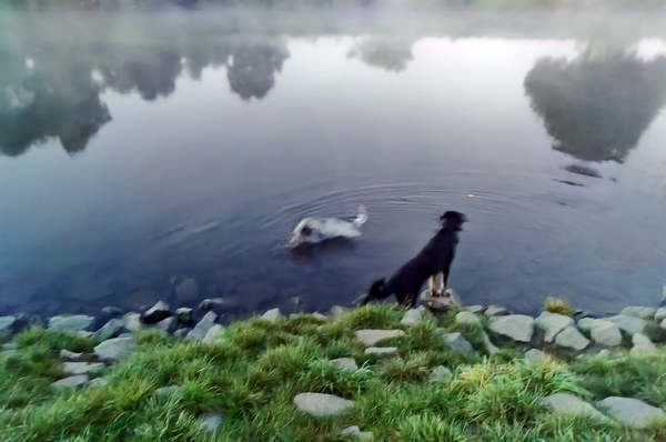 Hannes und Lula