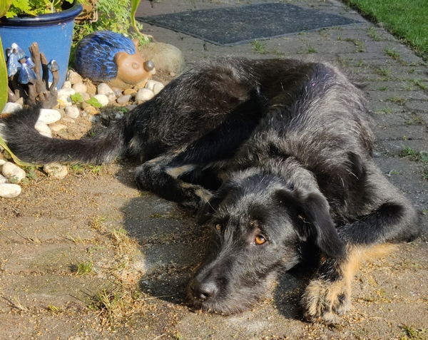 Hannes und Lula