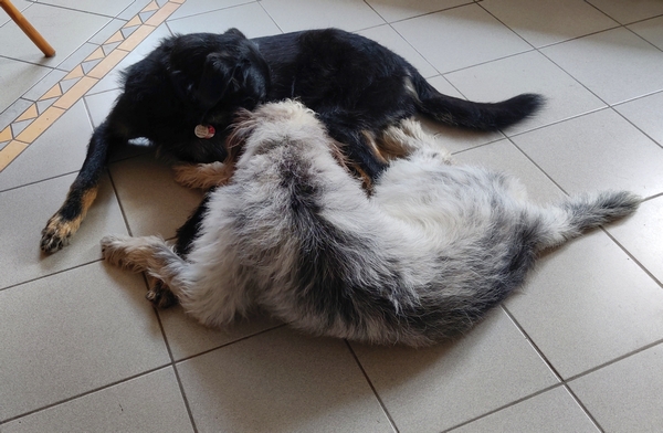 Hannes und Lula