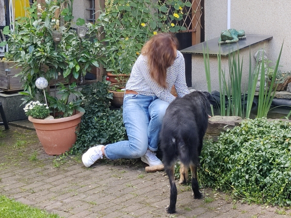 Hannes und Lula