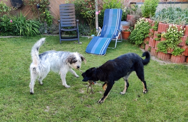 Hannes und Lula