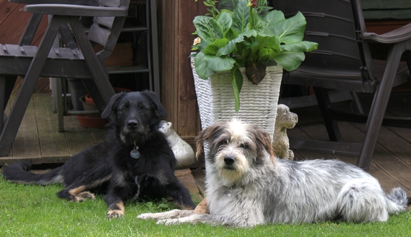 Hannes und Lula