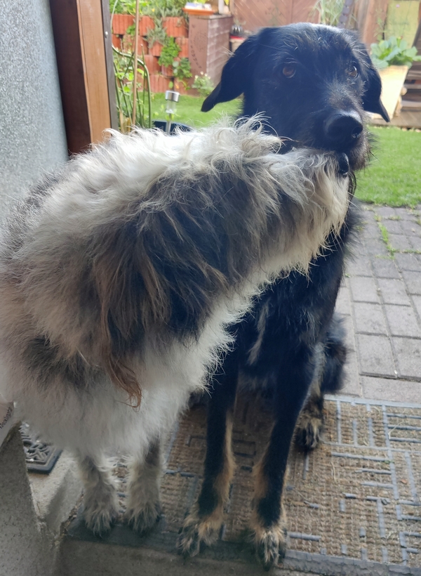 Hannes und Lula