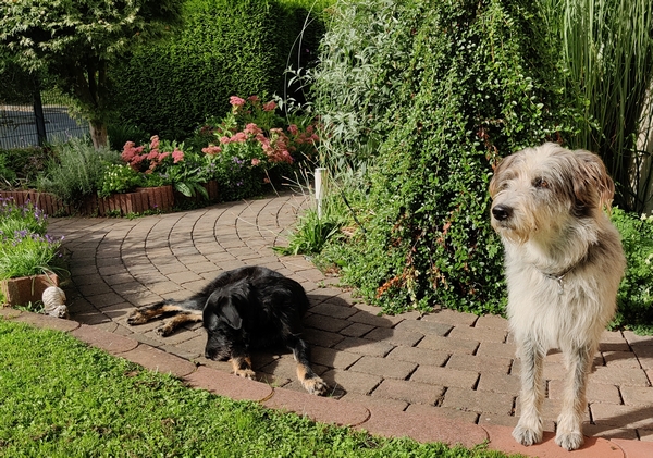 Hannes und Lula