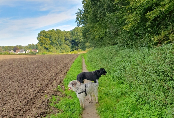 Hannes und Lula