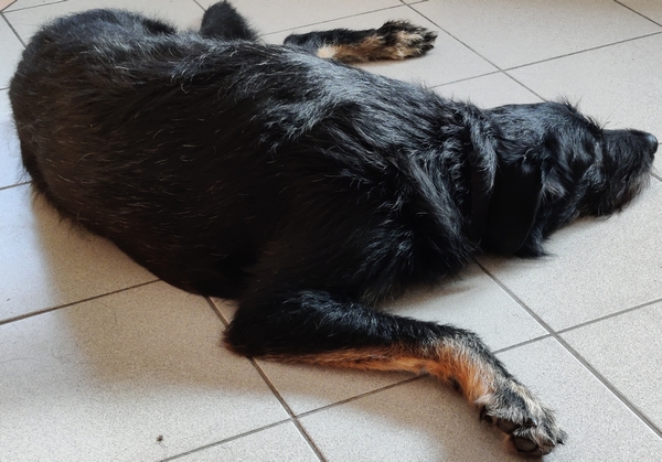 Hannes und Lula