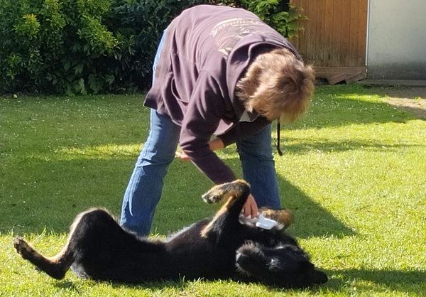 Hannes und Lula