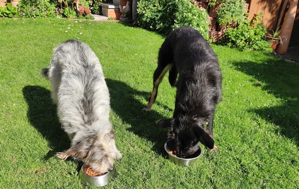 Hannes und Lula