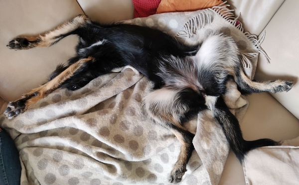 Hannes und Lula