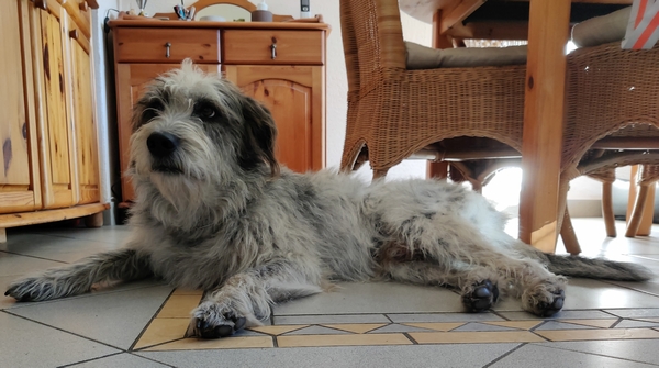 Hannes und Lula