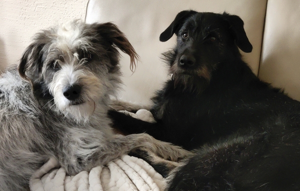 Hannes und Lula