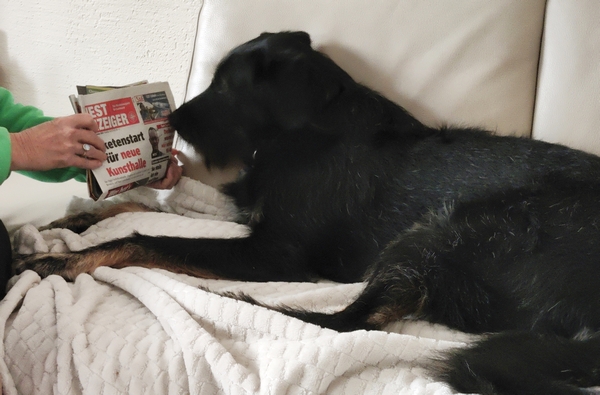 Hannes und Lula