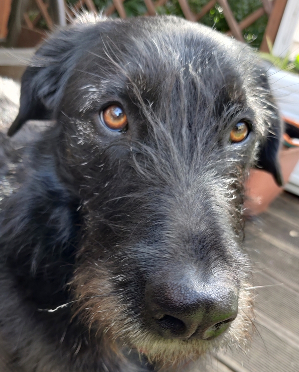 Hannes und Lula