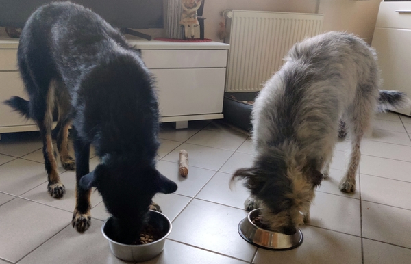 Hannes und Lula