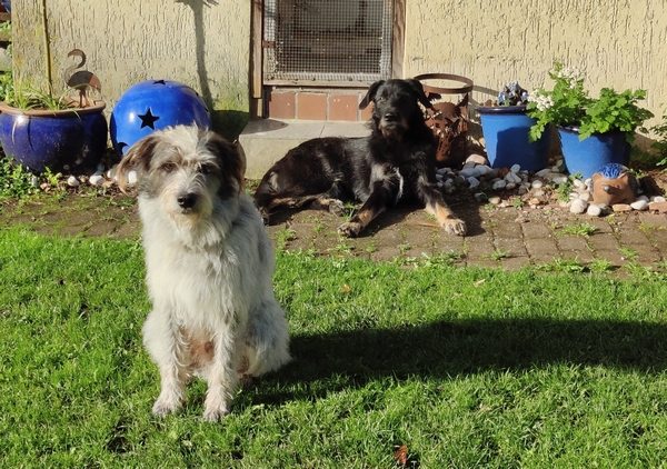 Hannes und Lula