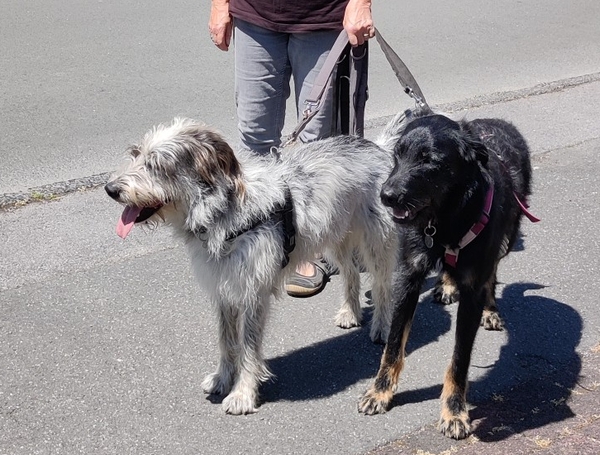 Hannes und Lula