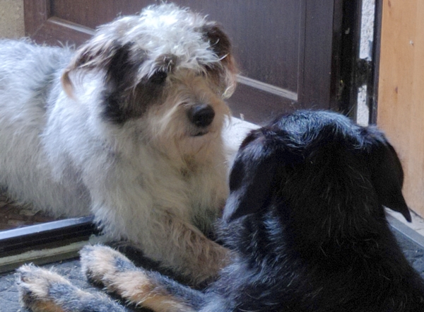 Hannes und Lula