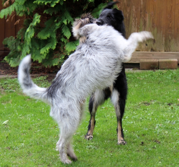 Hannes und Lula