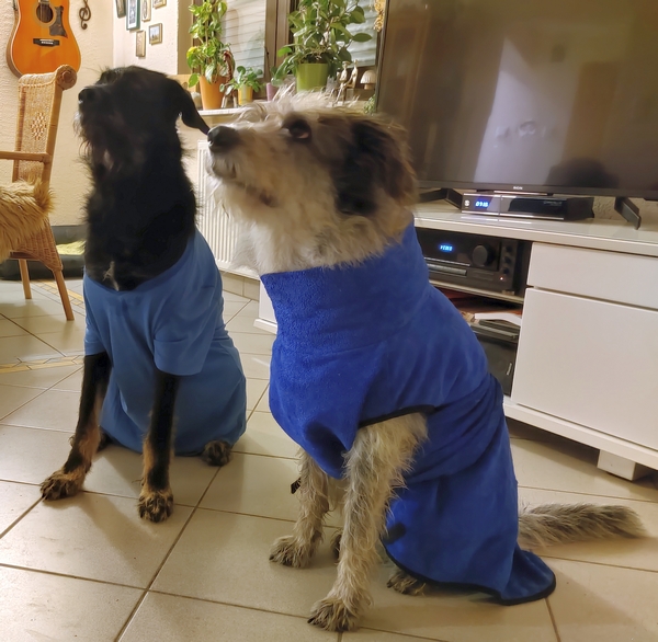 Hannes und Lula