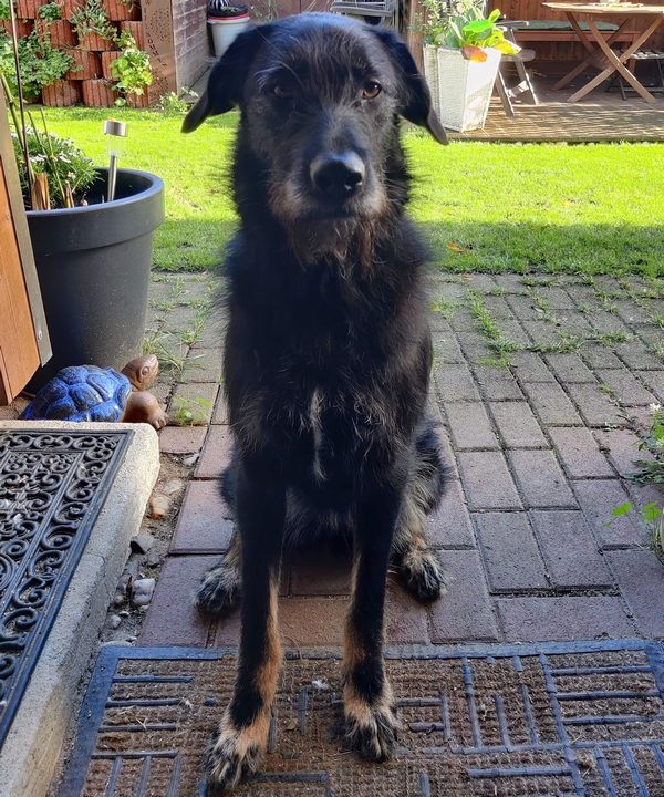 Hannes und Lula