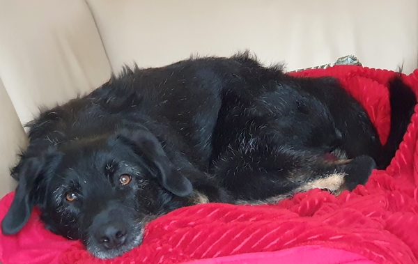 Hannes und Lula