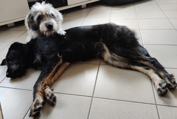 Hannes und Lula