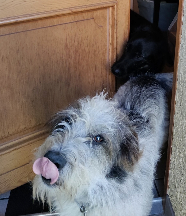 Hannes und Lula