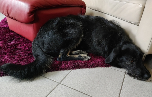 Hannes und Lula