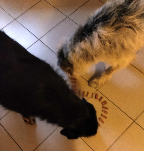 Hannes und Lula